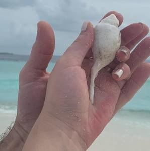 Meet your Posher, Alexander